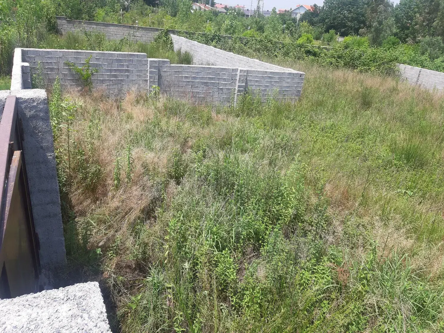 تصویر املاک 45114