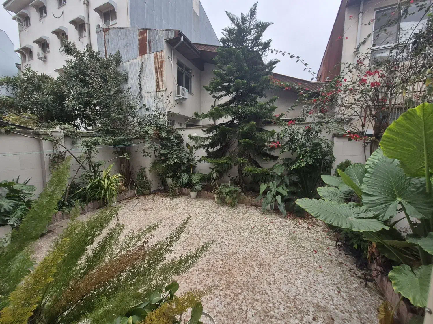 تصویر املاک 22554