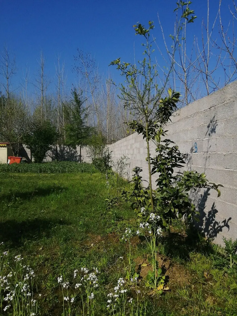 تصویر املاک 123208
