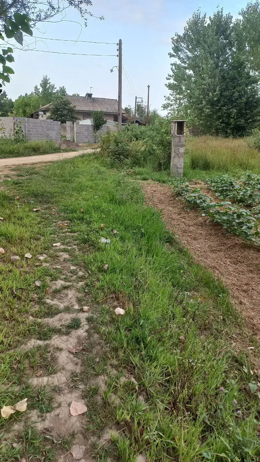 تصویر املاک 11986
