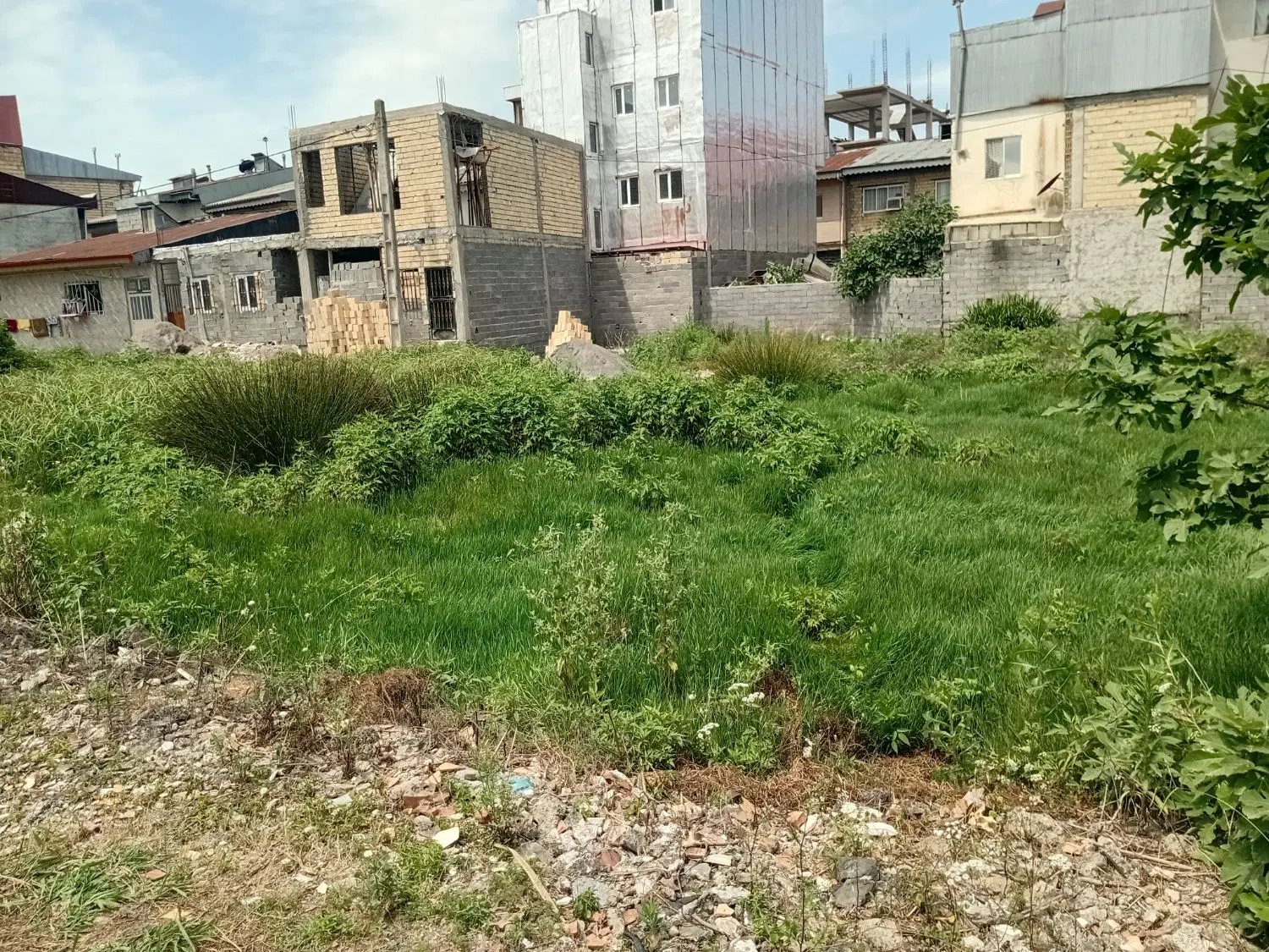 تصویر املاک 58936