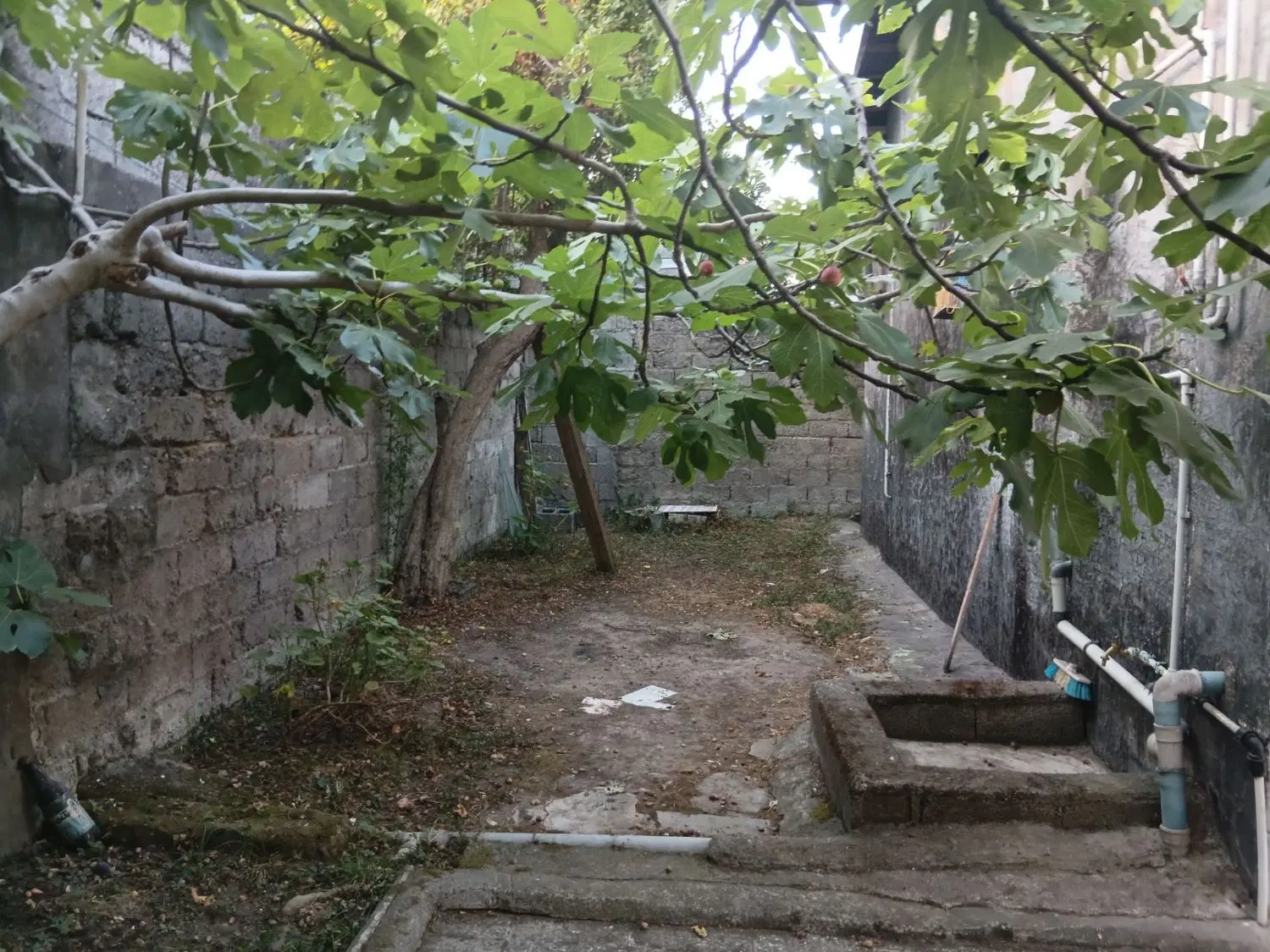 تصویر املاک 97359