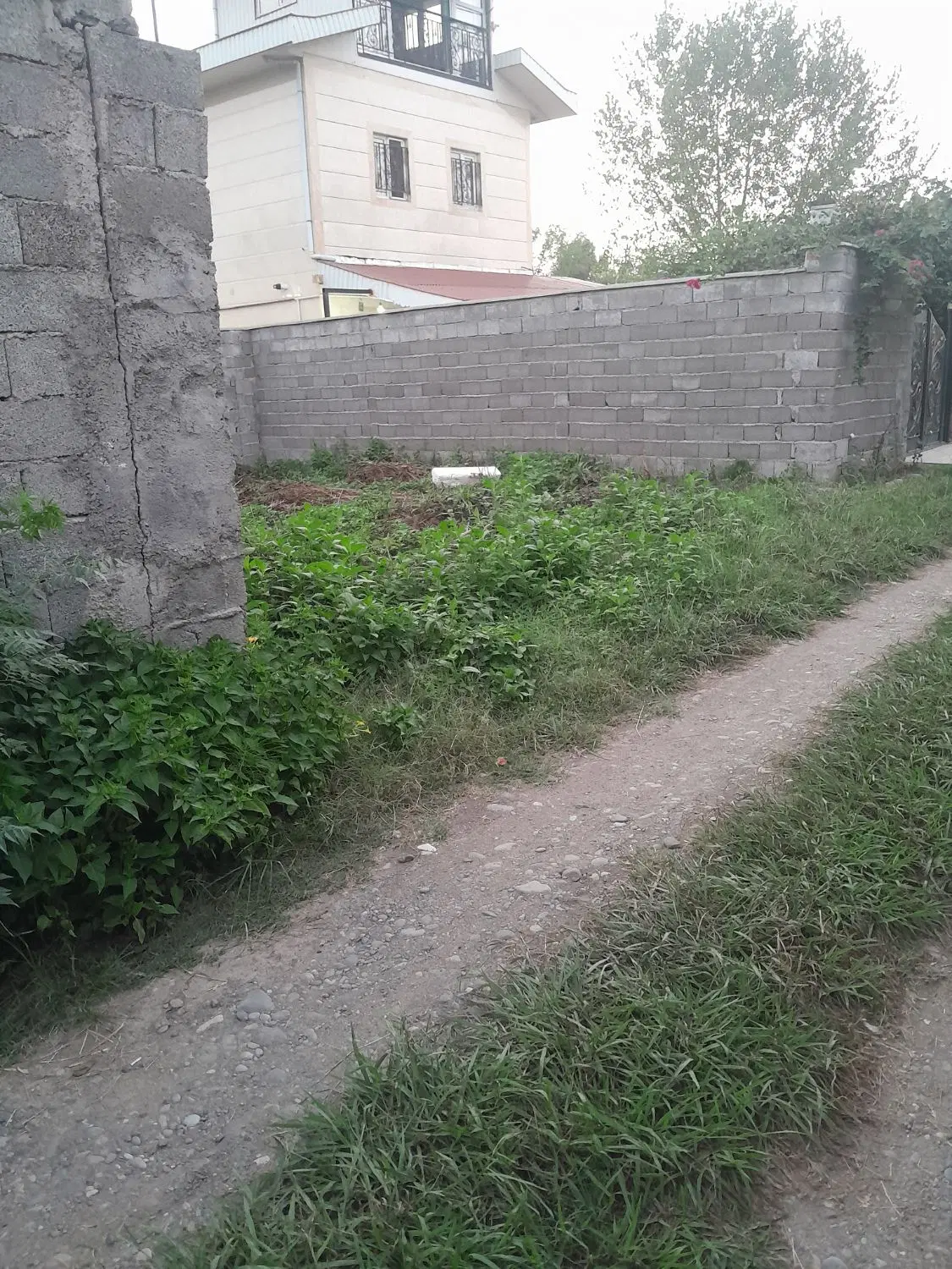 تصویر املاک 142222