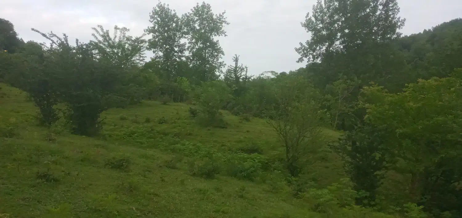 تصویر املاک 38734