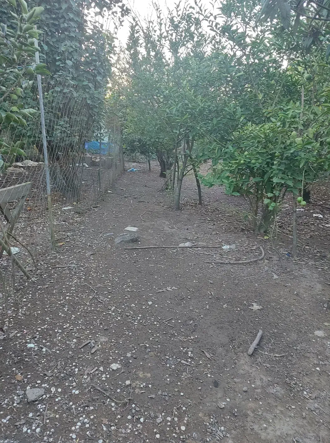 تصویر املاک 41008