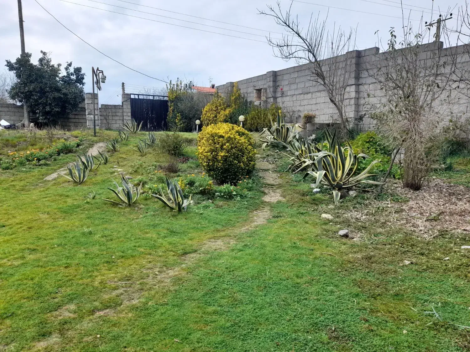 تصویر املاک 38377
