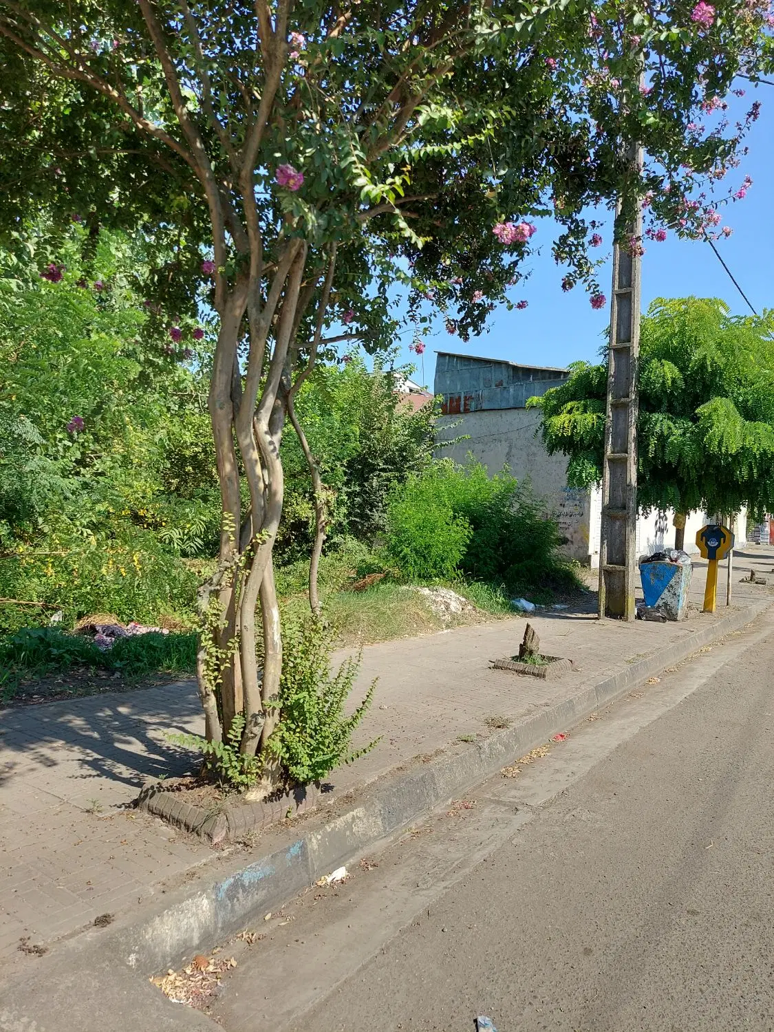 تصویر املاک 55694