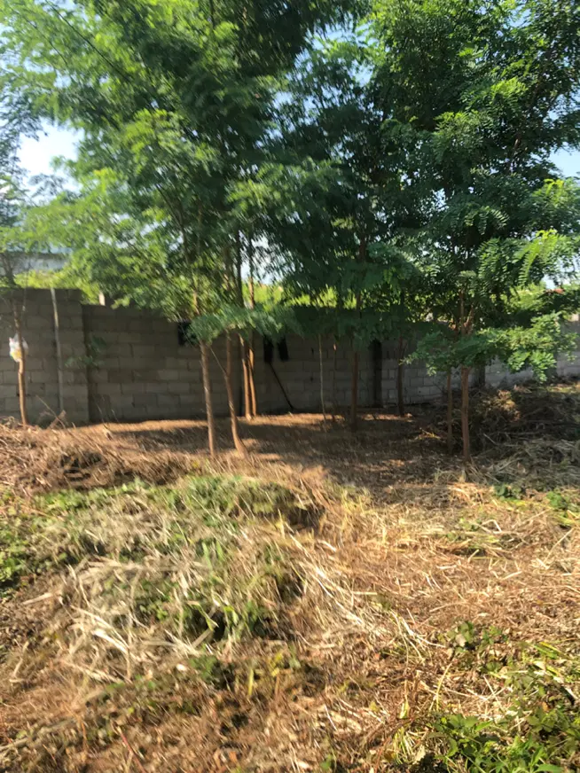 تصویر املاک 137739