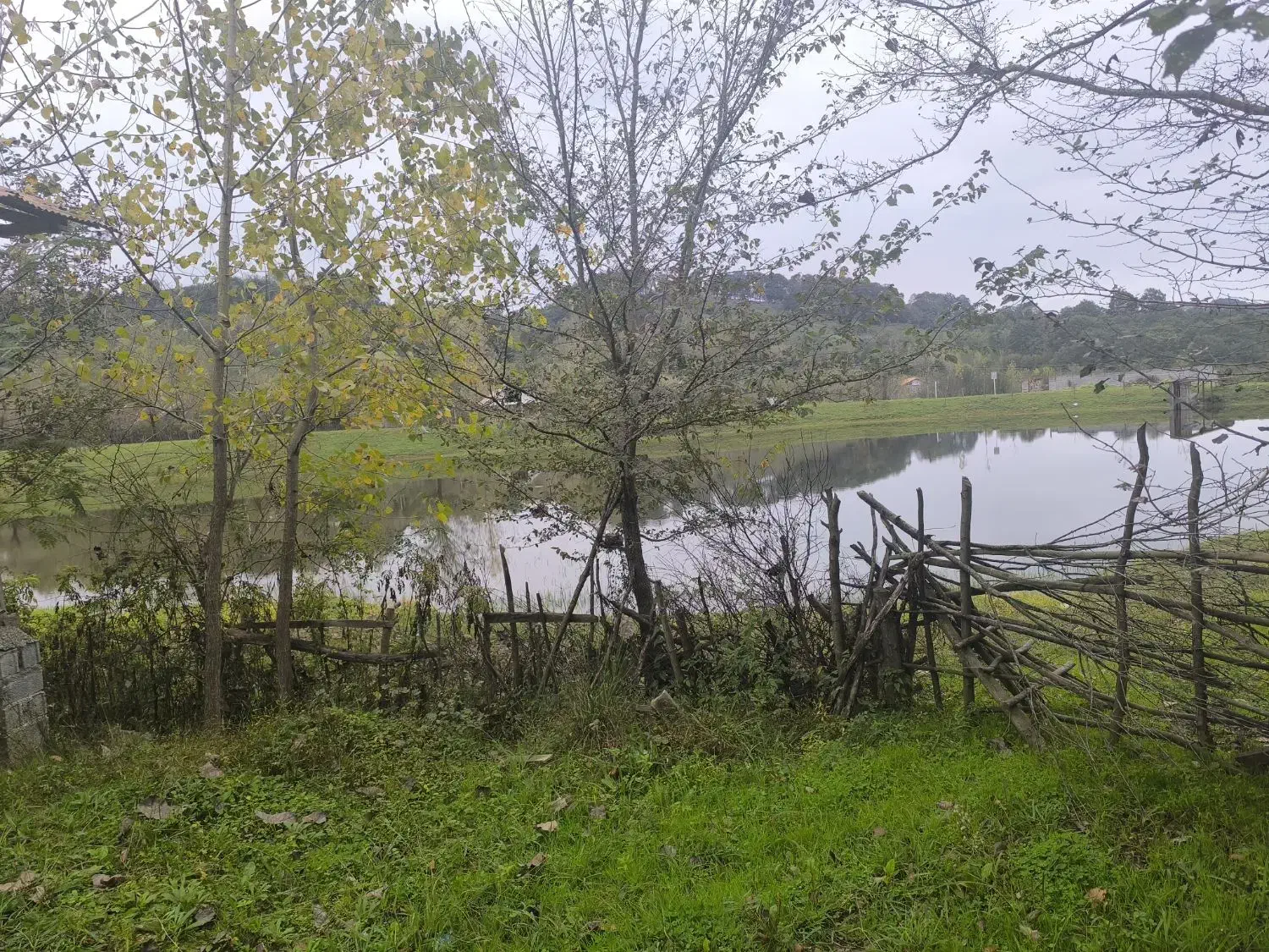 تصویر املاک 36944