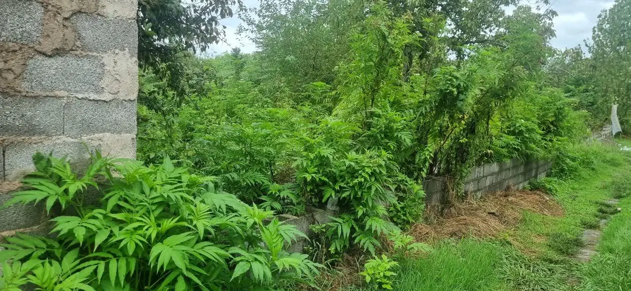 تصویر املاک 134484
