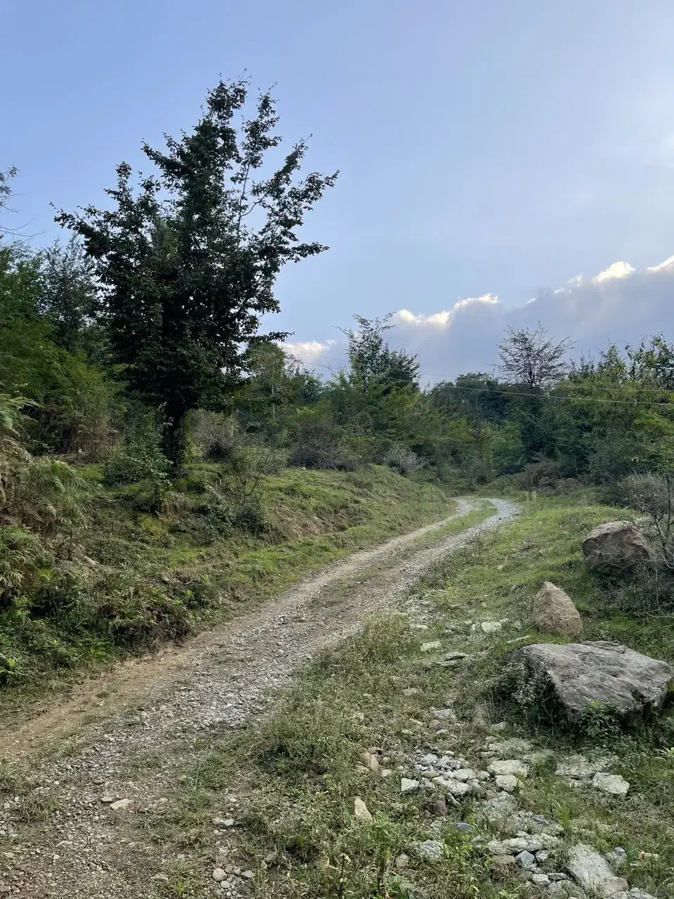 تصویر املاک 37529