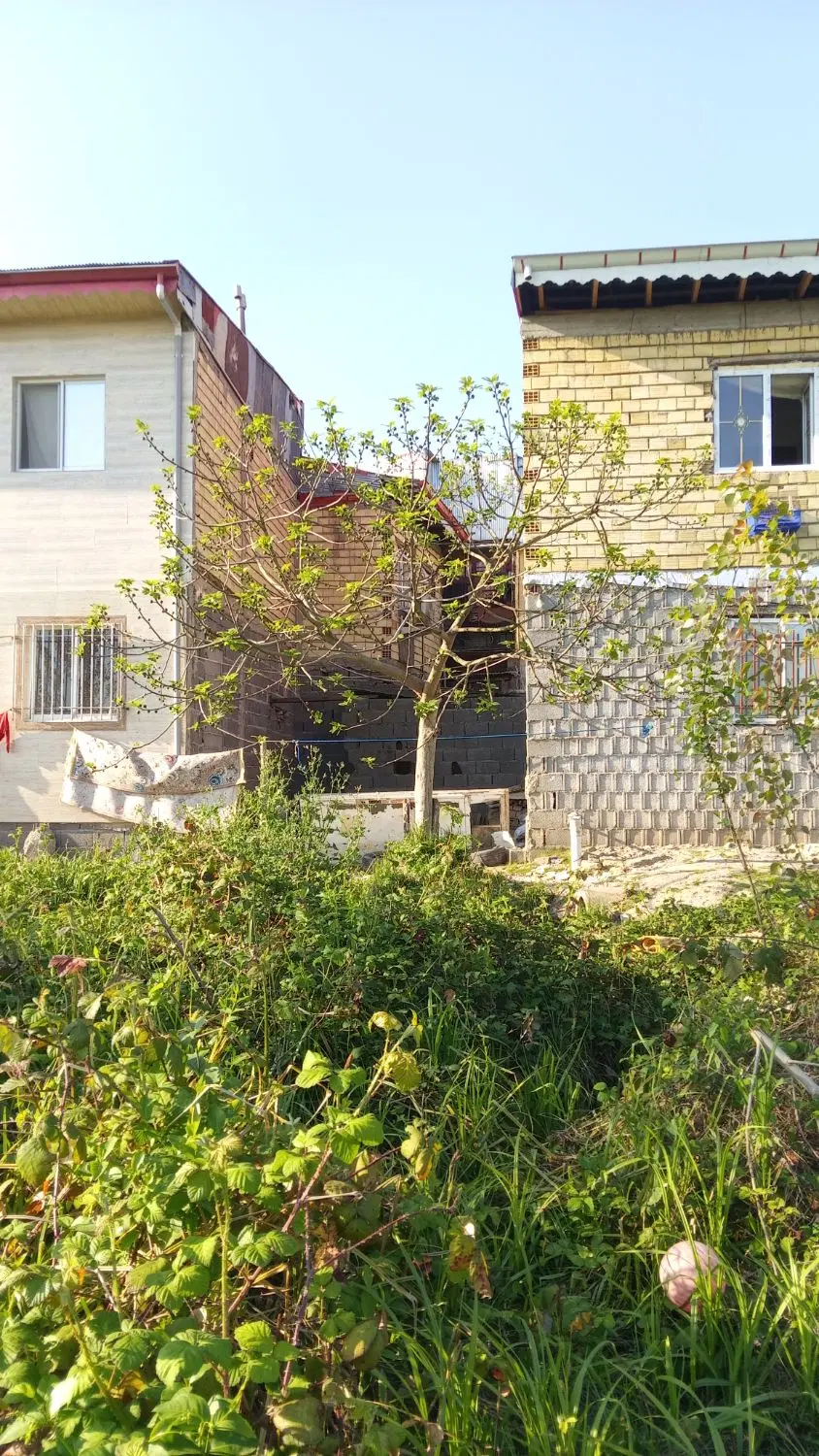 تصویر املاک 142227