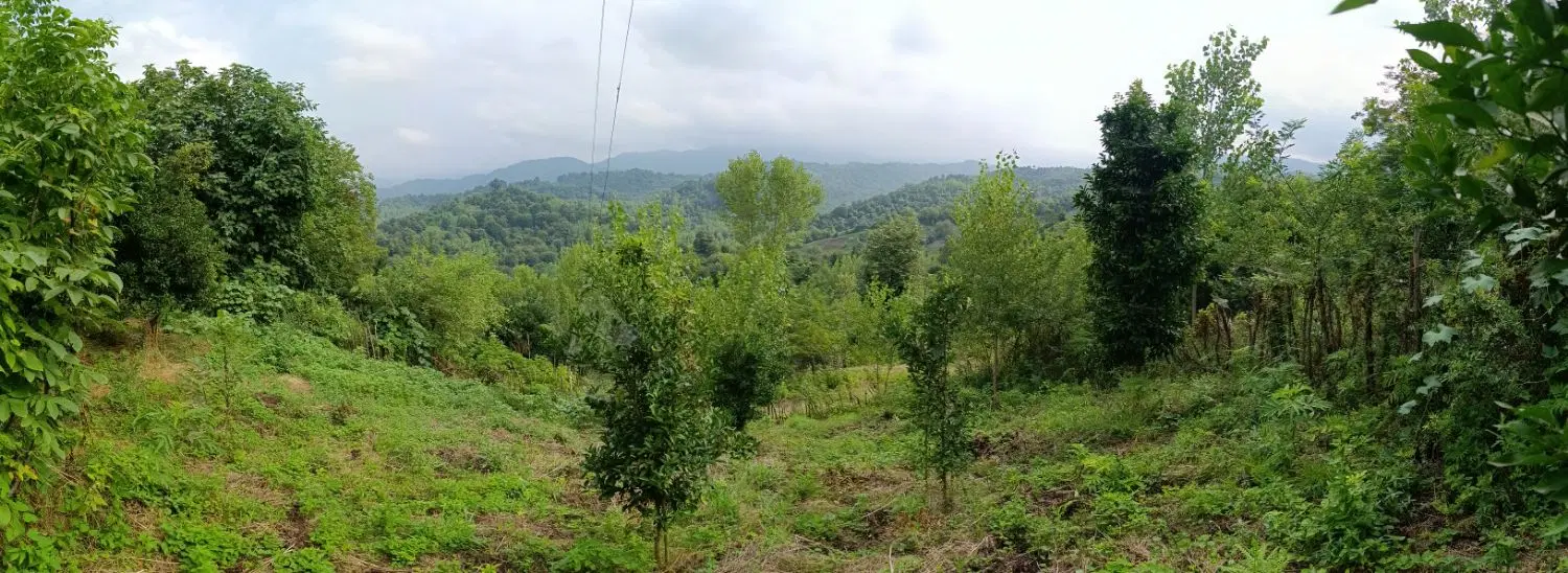 تصویر املاک 136143