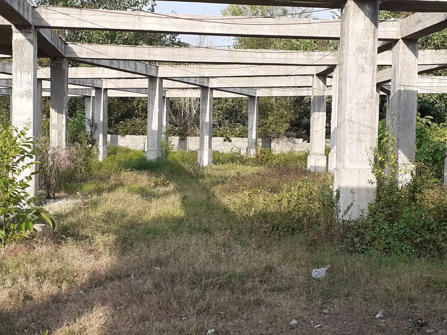 تصویر املاک 79904