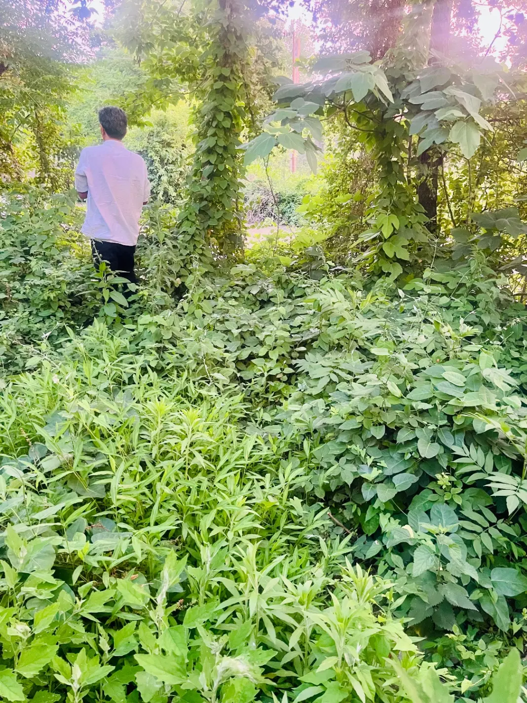 تصویر املاک 84166