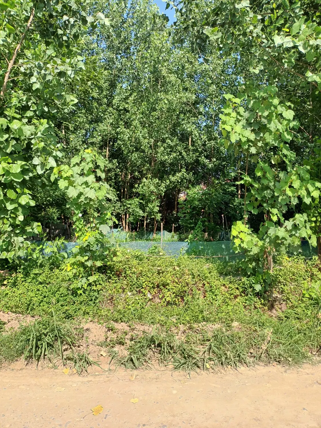 تصویر املاک 76639