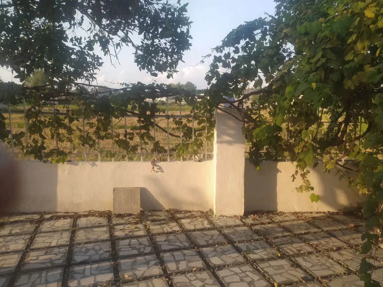 تصویر املاک 5395