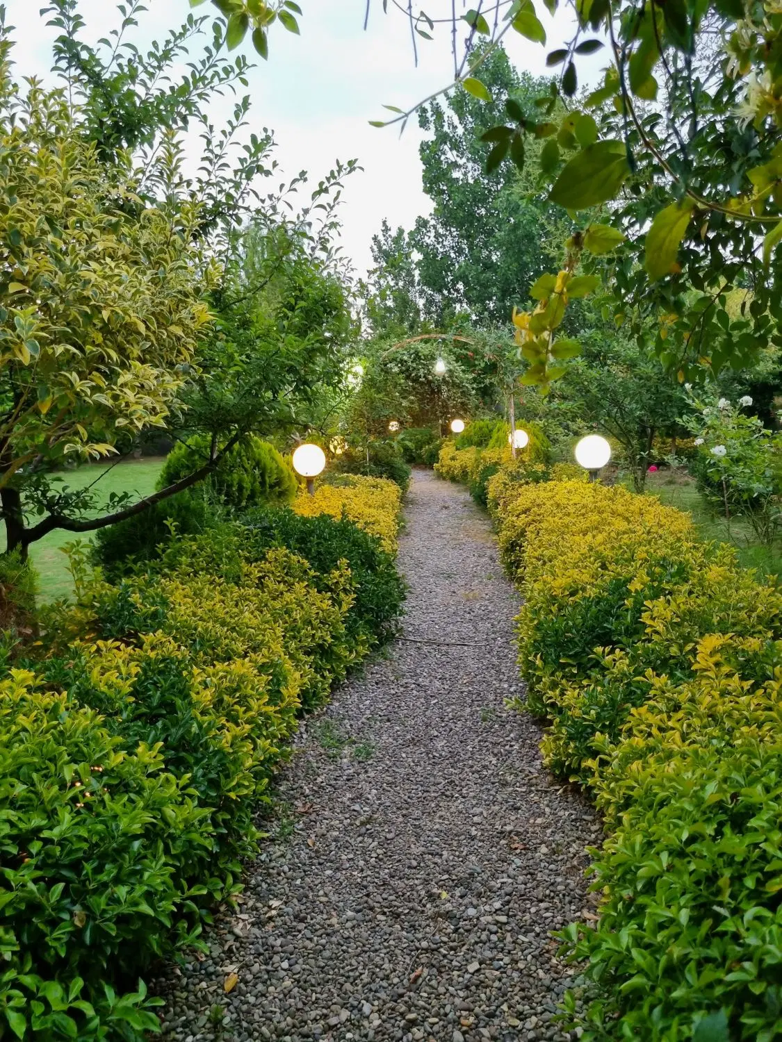 تصویر املاک 124246