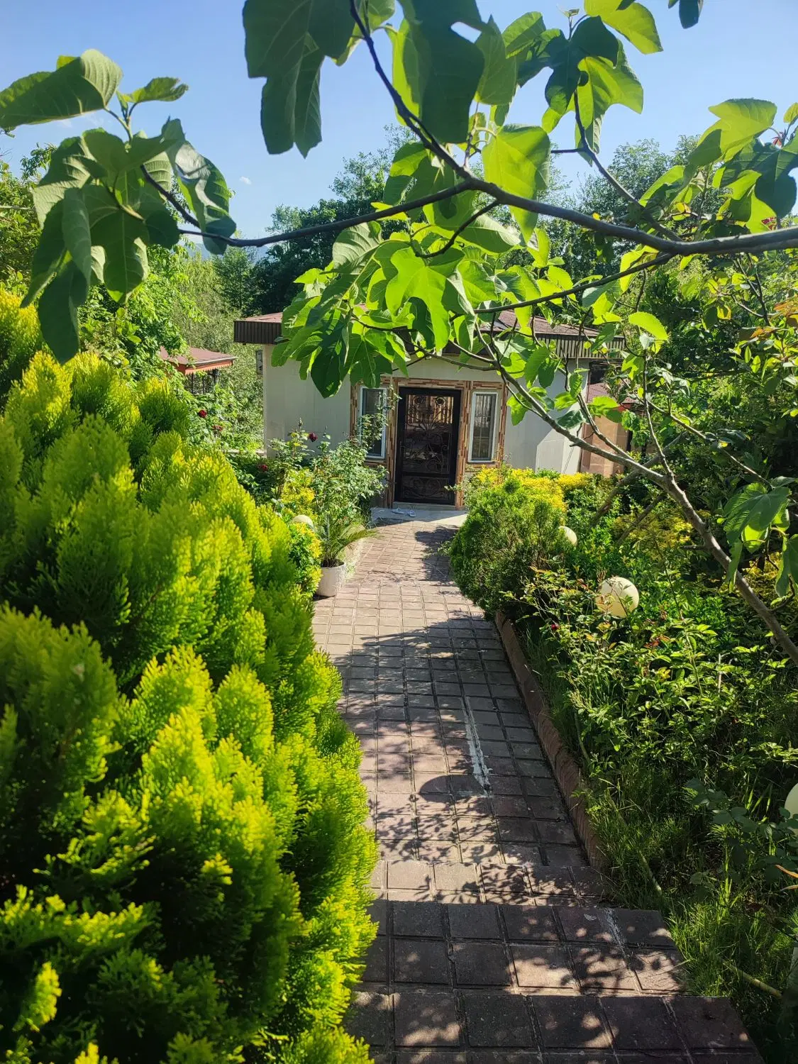 تصویر املاک 95332