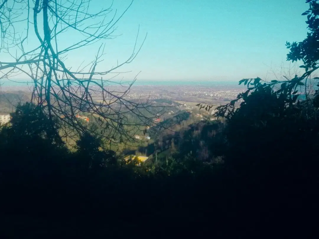 تصویر املاک 76613