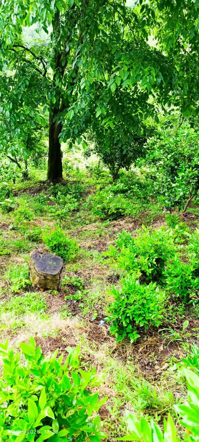 تصویر املاک 4970