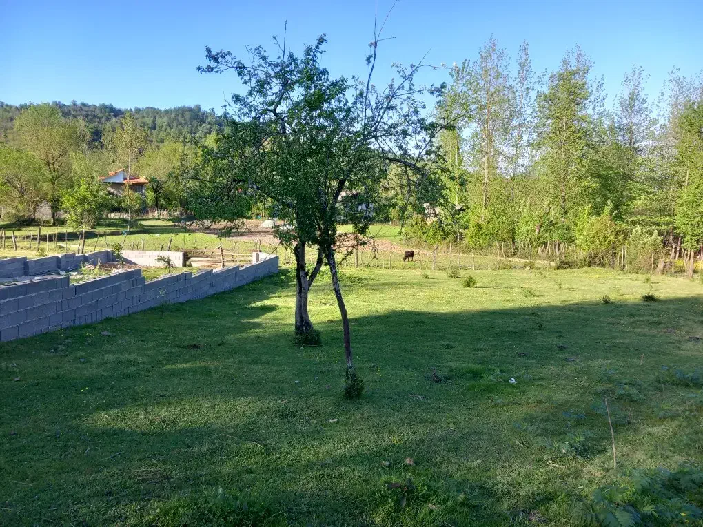 تصویر املاک 36640