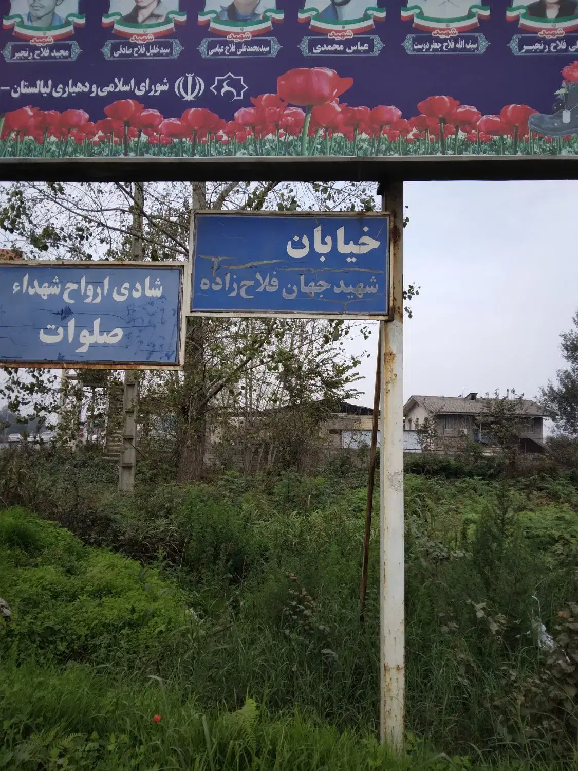 تصویر املاک 55309