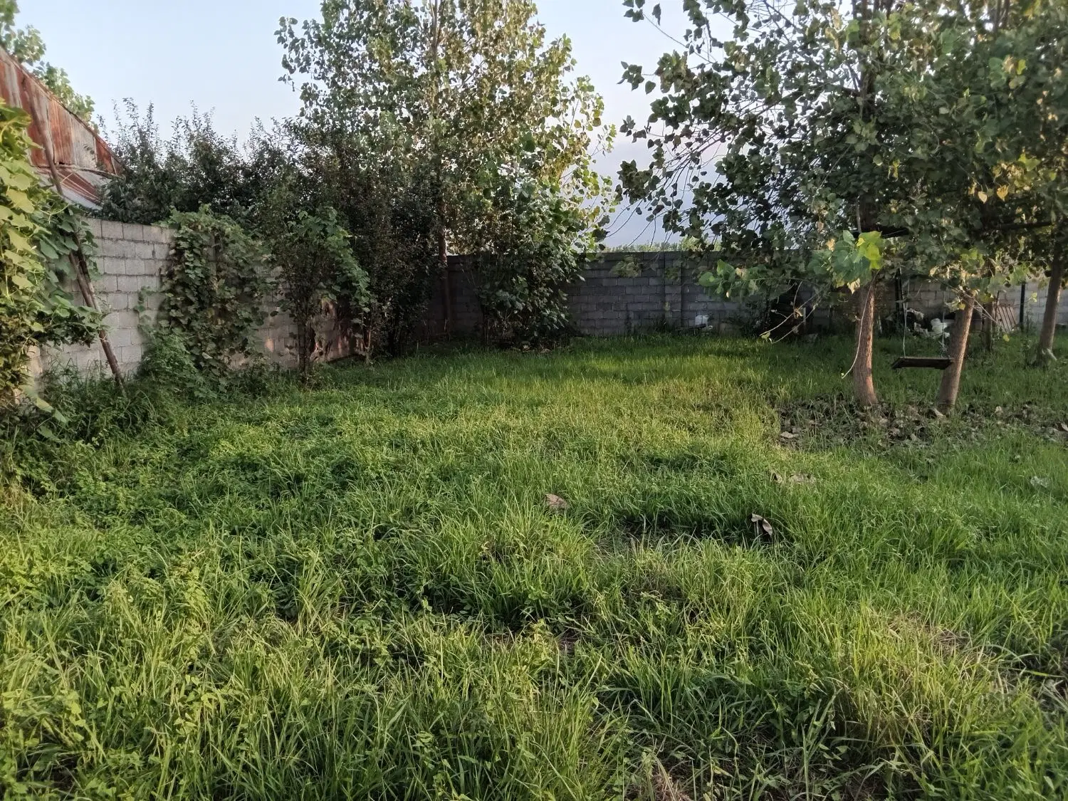 تصویر املاک 116339