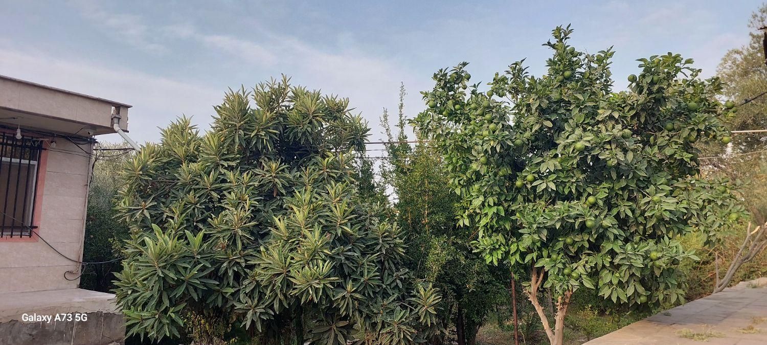 تصویر املاک 4929