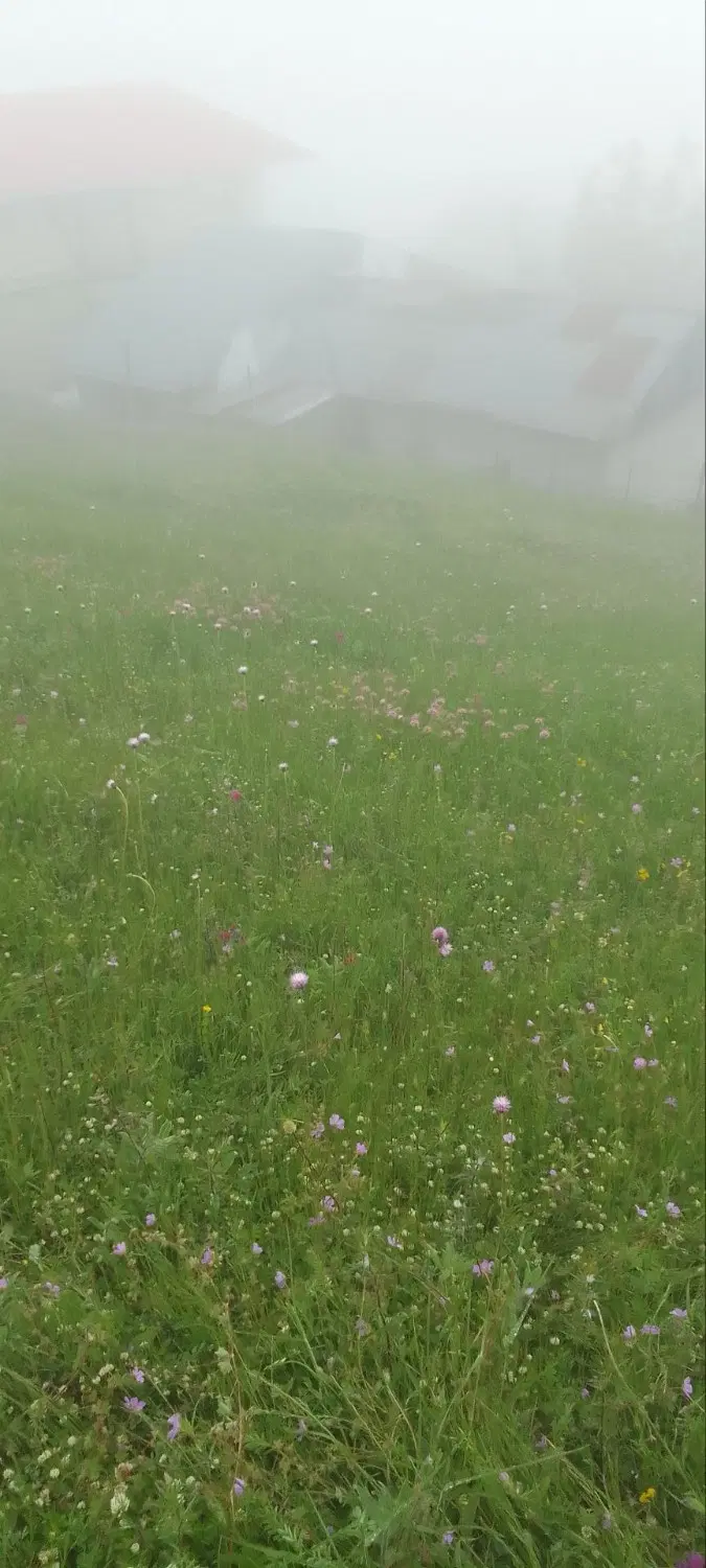 تصویر املاک 114927
