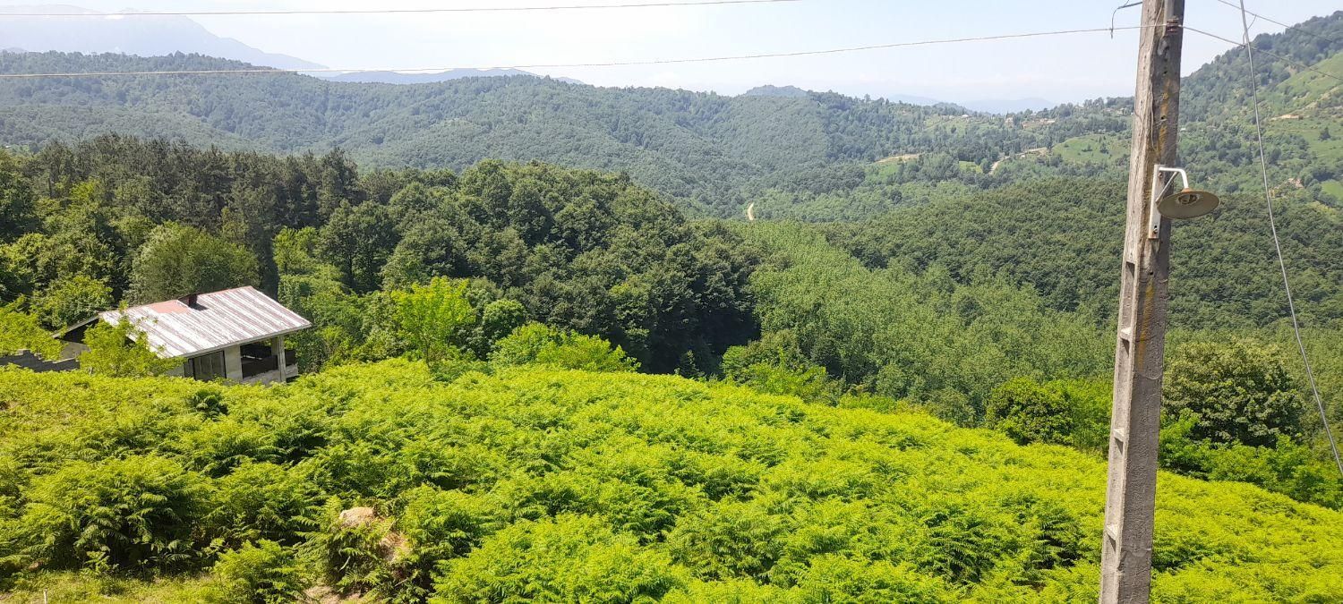 تصویر املاک 38538