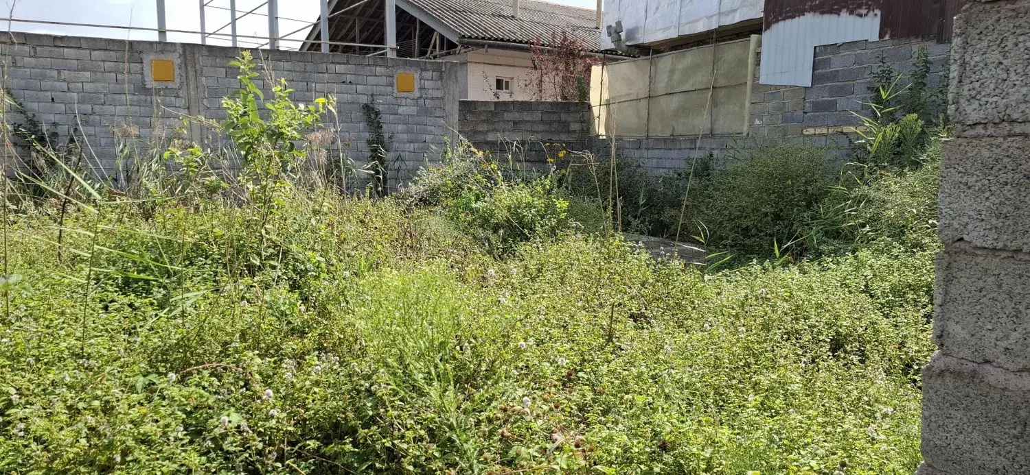 تصویر املاک 133398