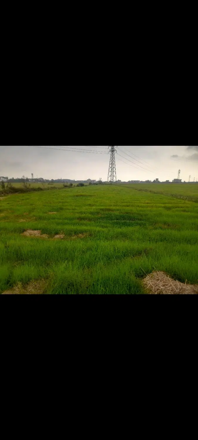 تصویر املاک 135779
