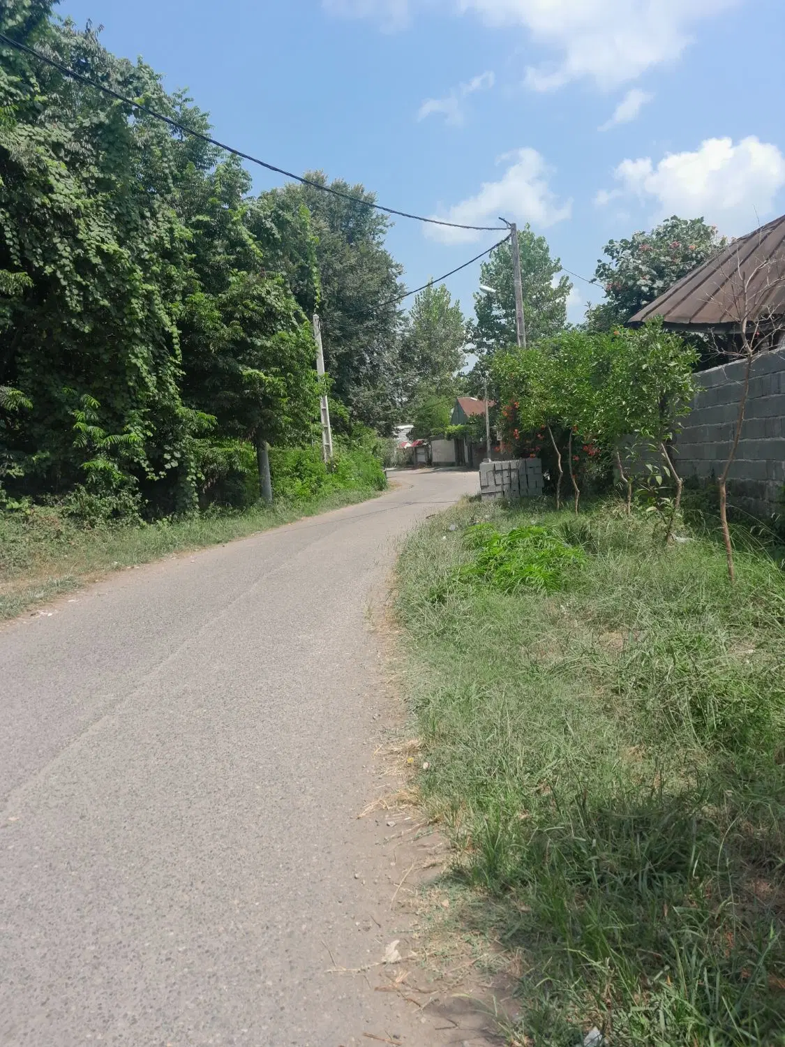 تصویر املاک 132428