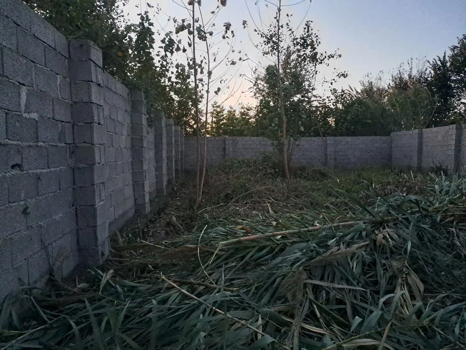 تصویر املاک 35747