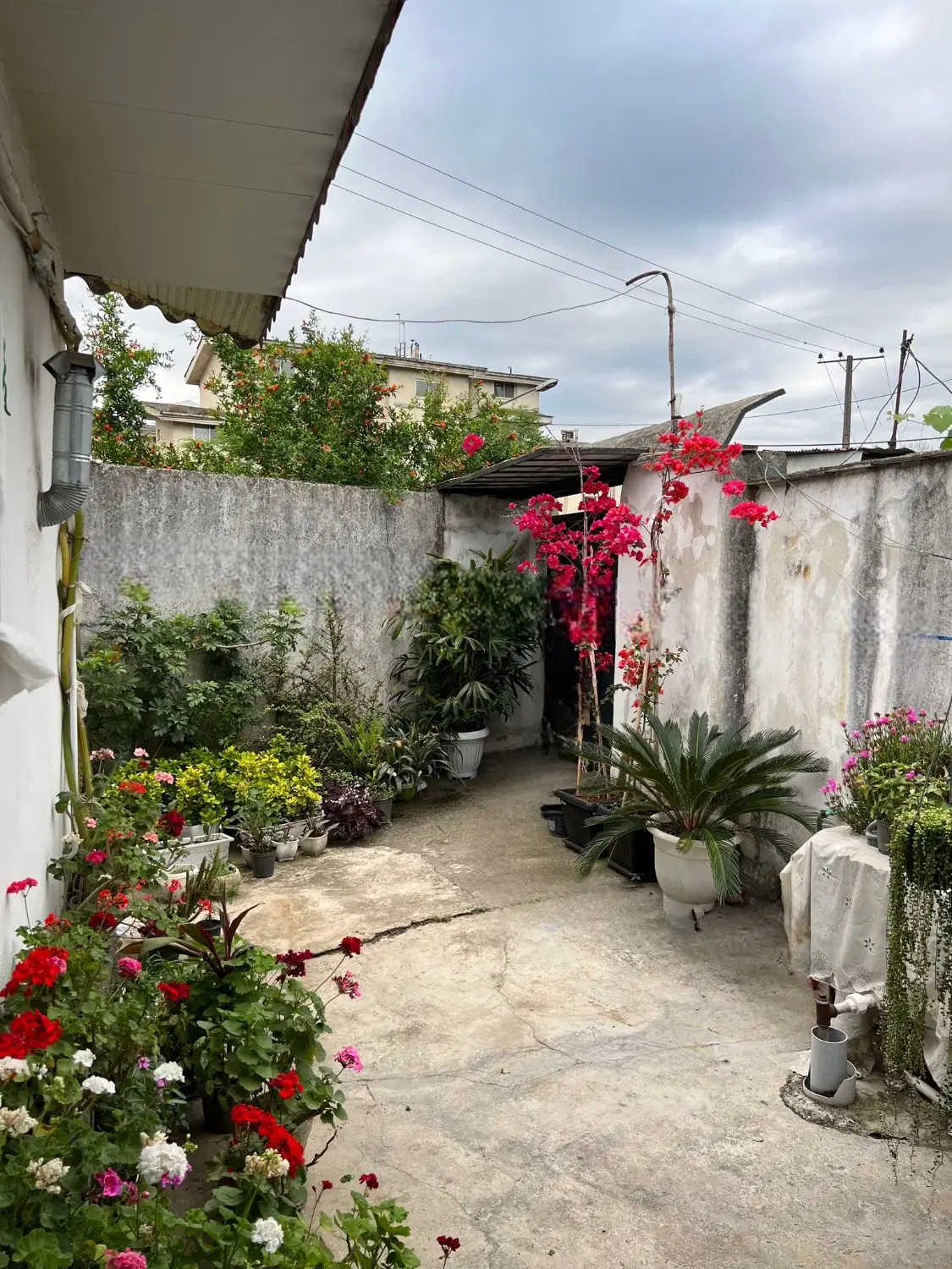 تصویر املاک 62110