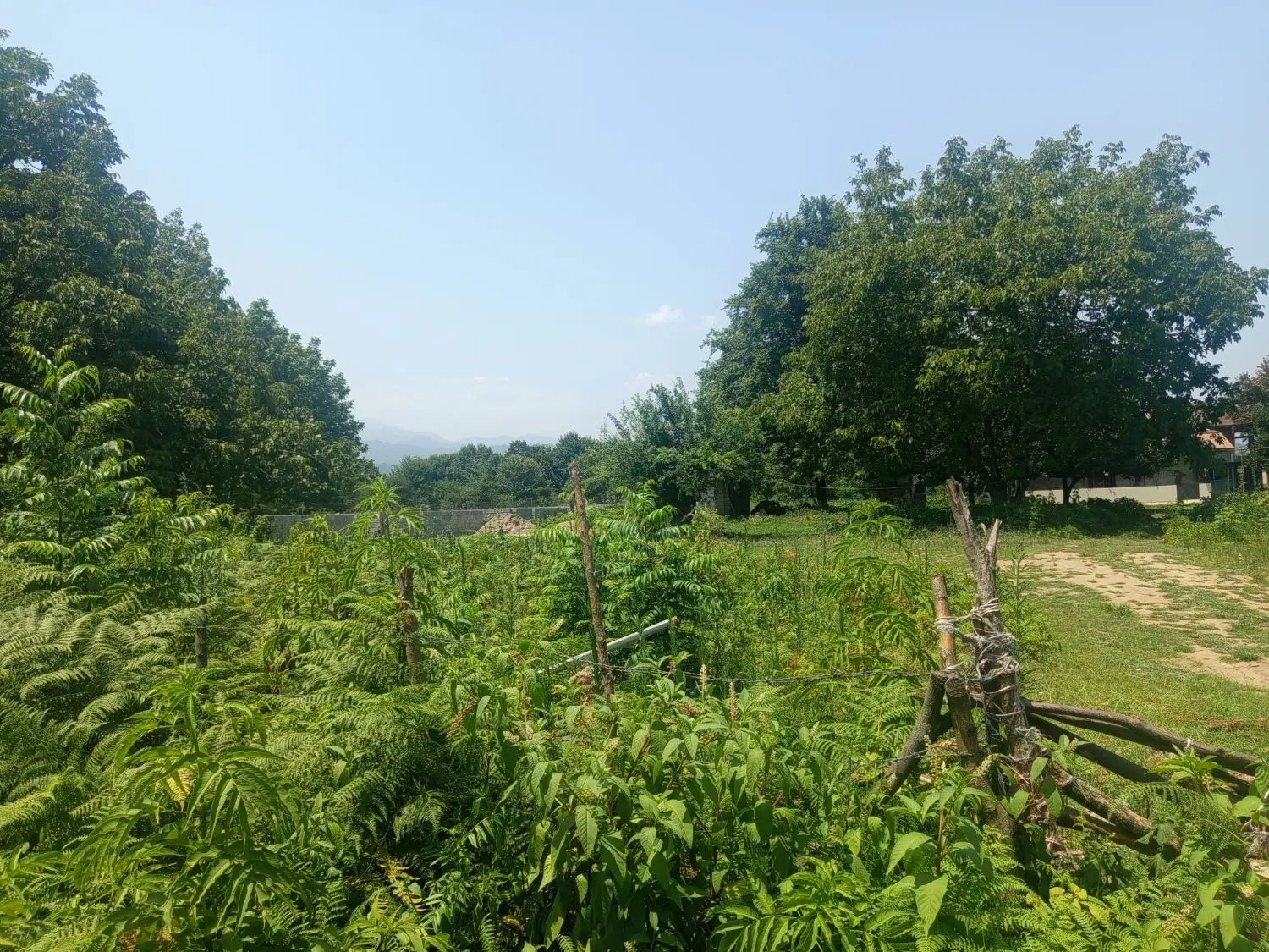 تصویر املاک 125146