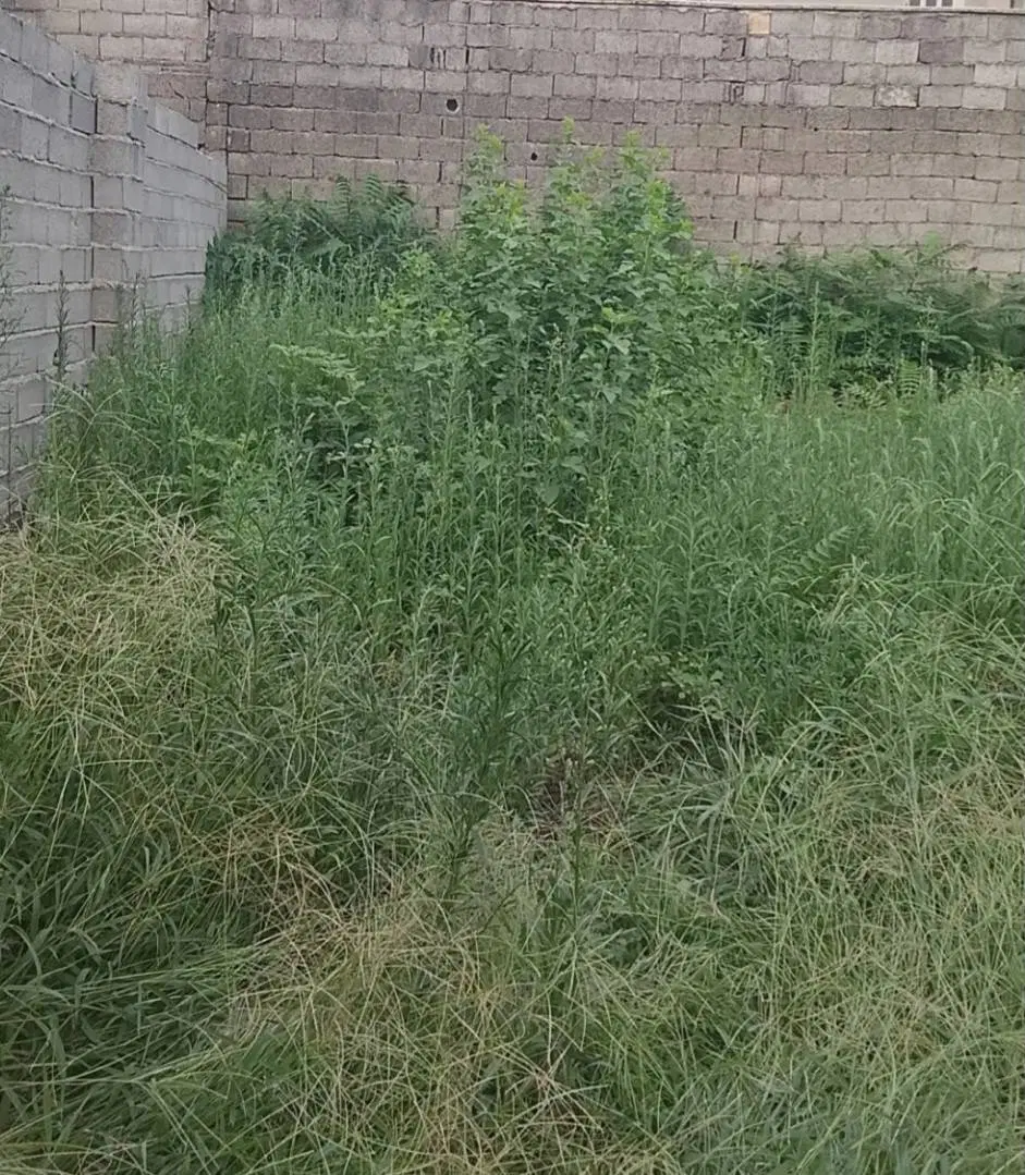 تصویر املاک 109248