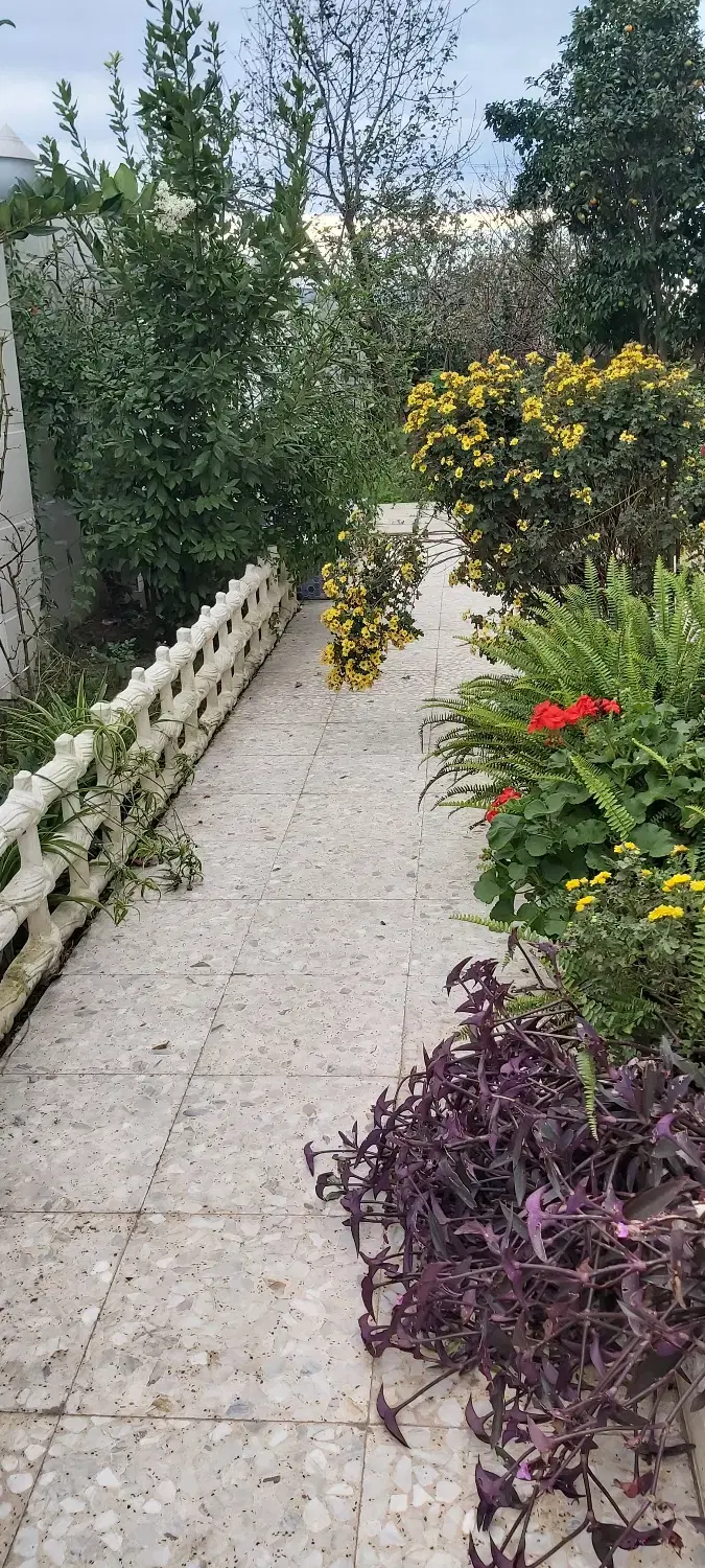 تصویر املاک 65505
