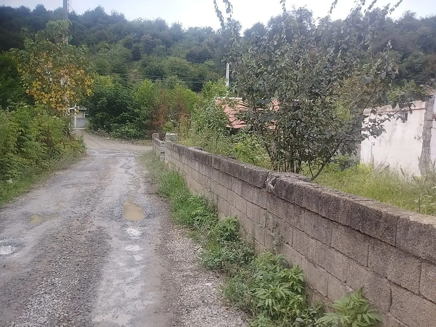 تصویر املاک 105247