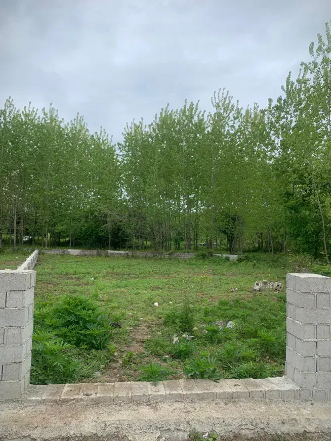 تصویر املاک 37324