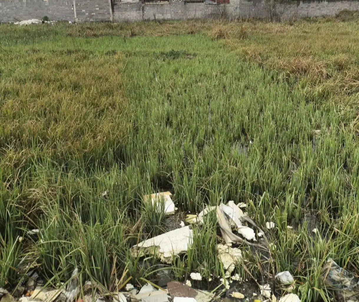 تصویر املاک 56629