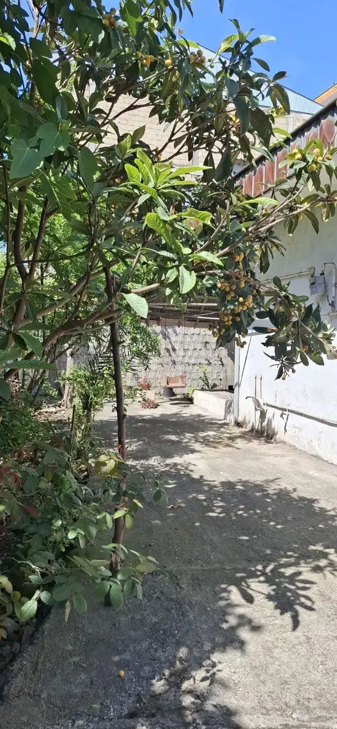 تصویر املاک 45811