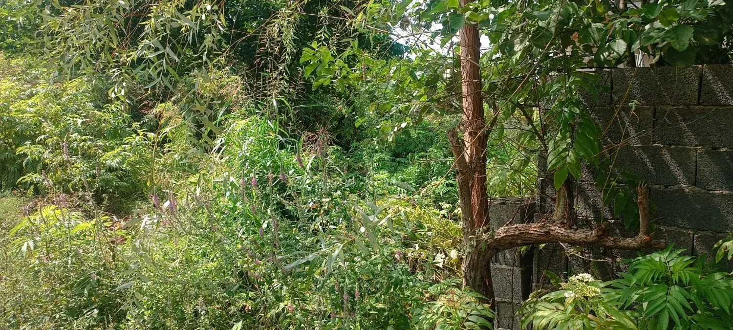 تصویر املاک 135496