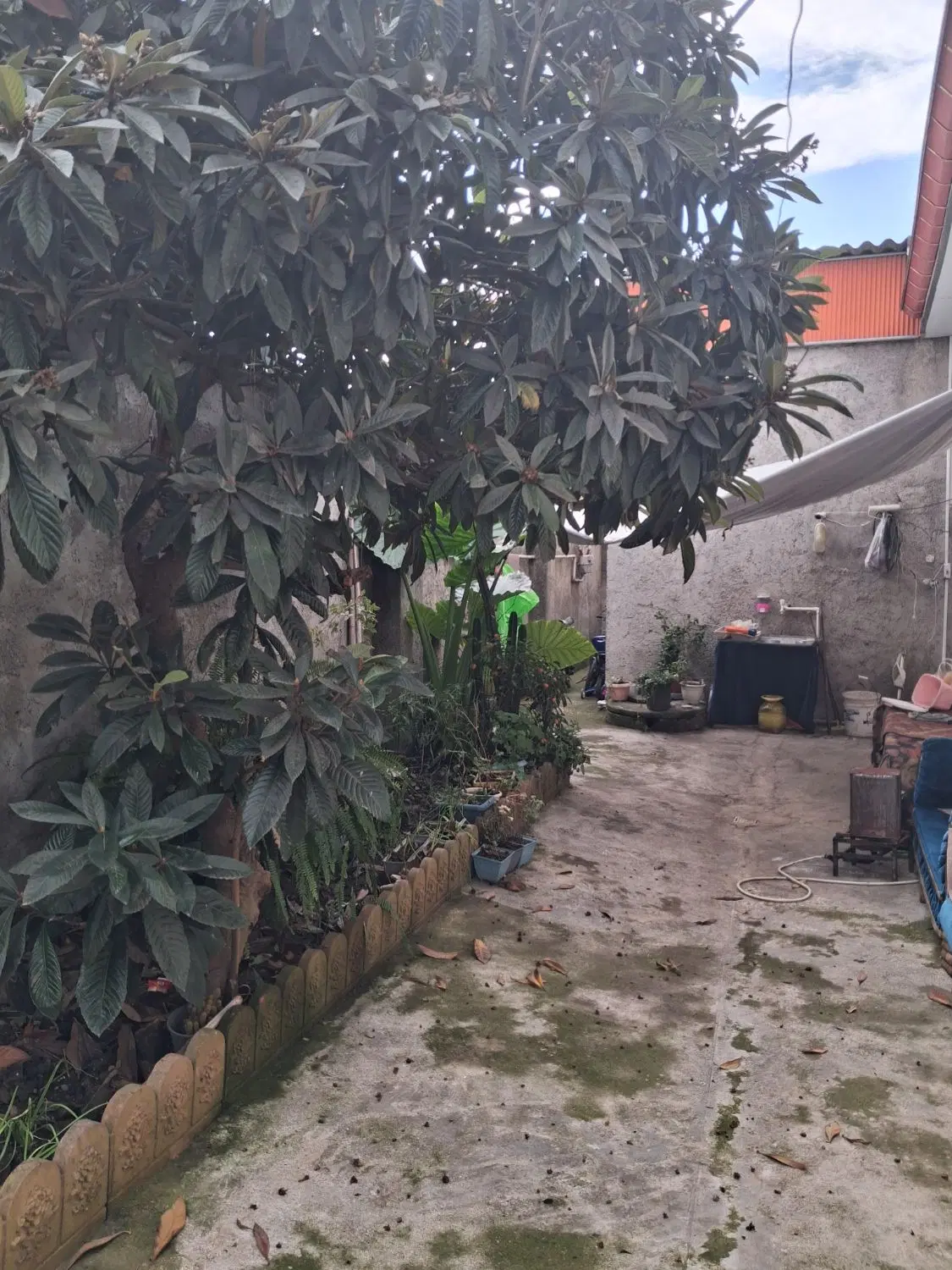 تصویر املاک 88916