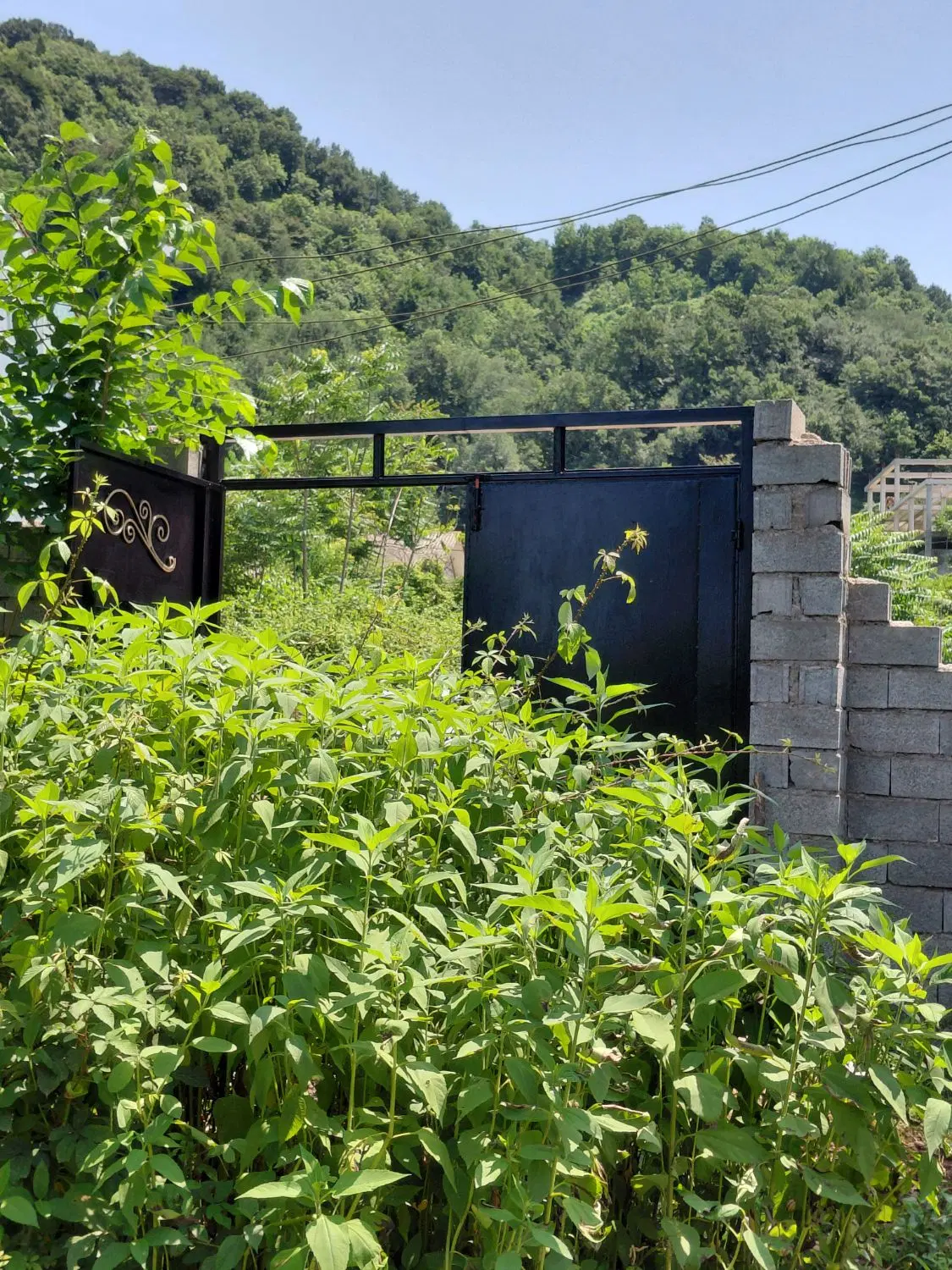 تصویر املاک 54585