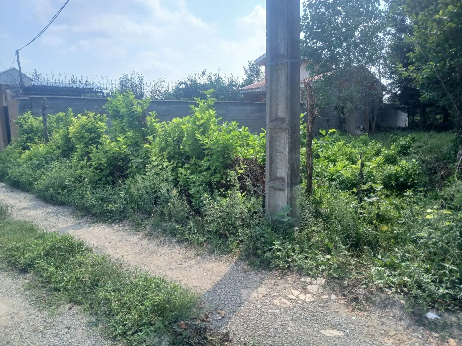 تصویر املاک 142242