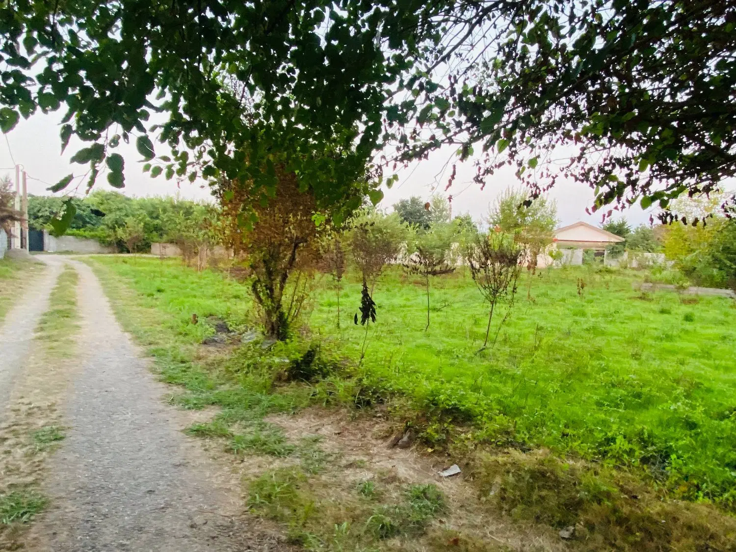 تصویر املاک 99189