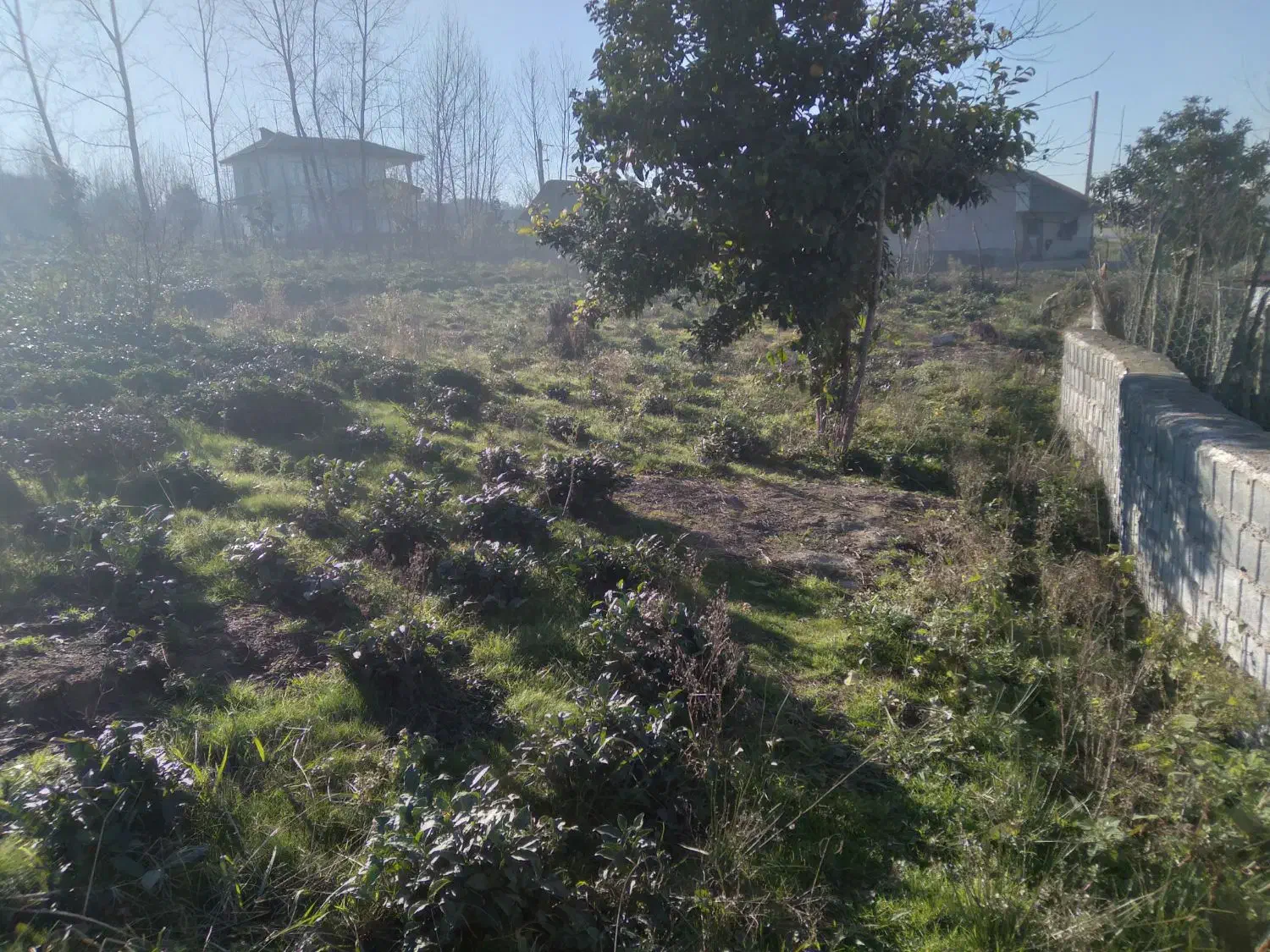 تصویر املاک 36425