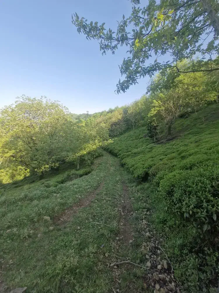 تصویر املاک 35759